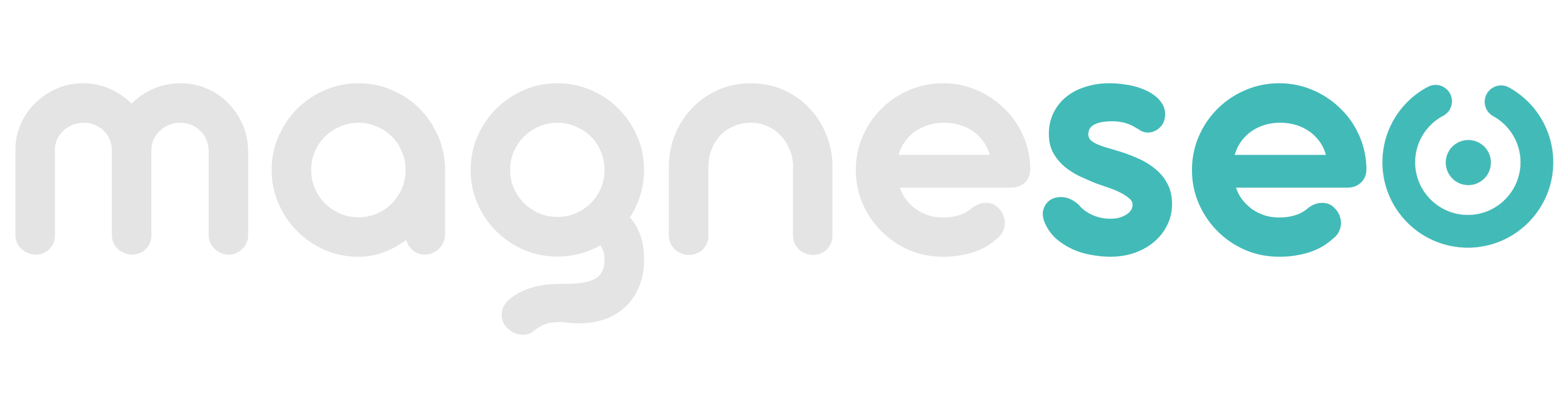 MagneSeo